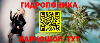шишки Гудермес