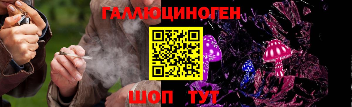Галлюциногенные грибы Cubensis  Вход с VPN  Белогорск 
