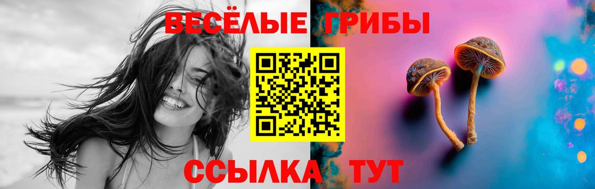 Псилоцибиновые грибы прущие грибы Белогорск