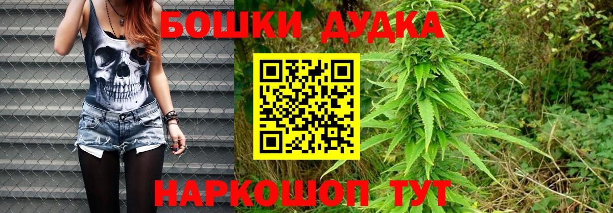 Бошки Шишки гибрид Белогорск